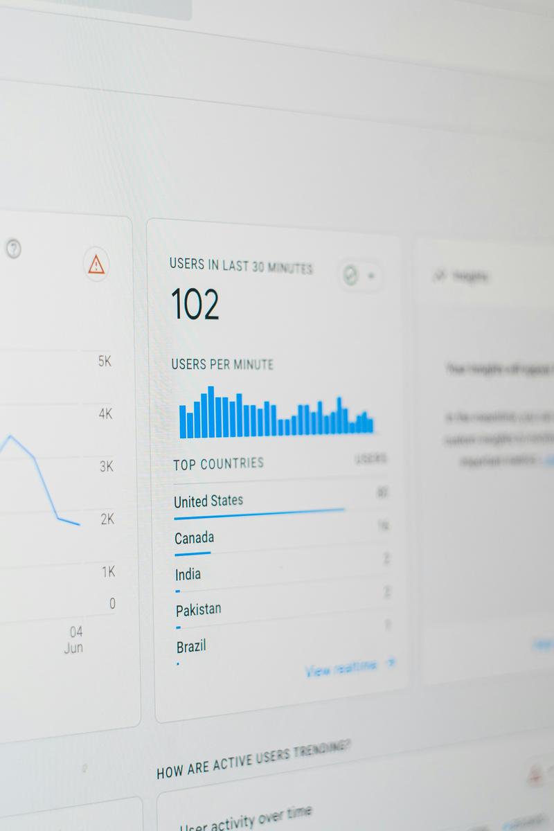 Search Engine Optimization
